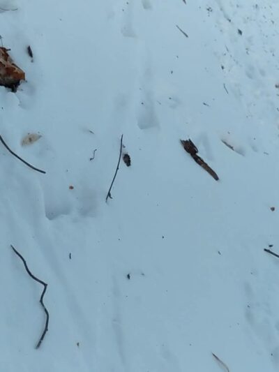 Hasbrouck Park - Kingston, NY