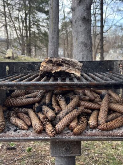 Hutton Park - Kingston, NY