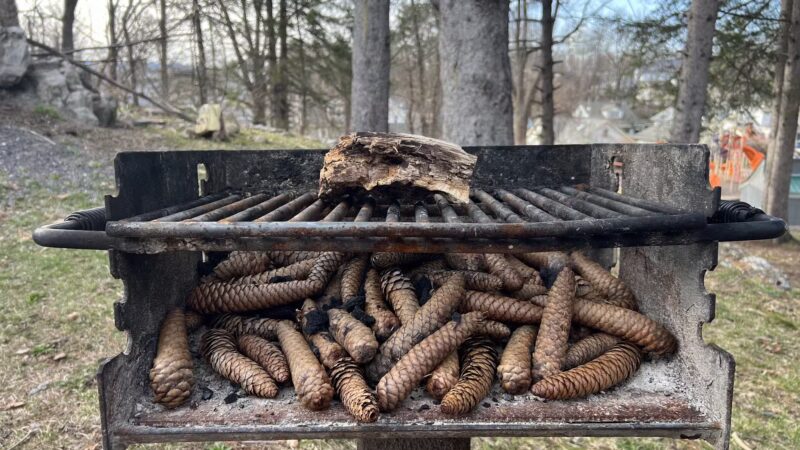 Hutton Park - Kingston, NY