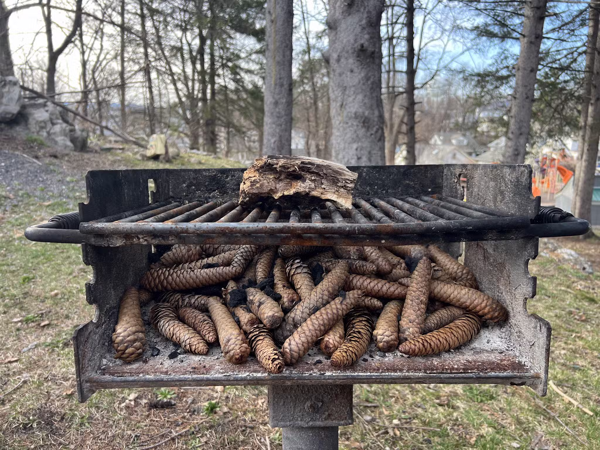 Hutton Park - Kingston, NY