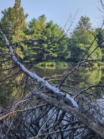 Onteora Lake Trailhead and Parking - Kingston, NY