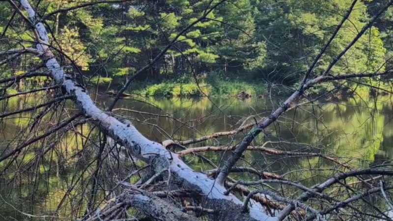 Onteora Lake Trailhead and Parking - Kingston, NY