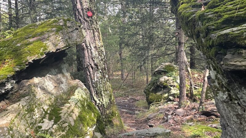 Onteora Lake Trailhead and Parking - Kingston, NY