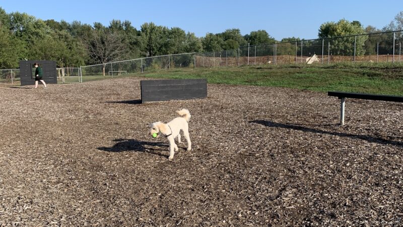 Kingston dog park - Kingston, PA