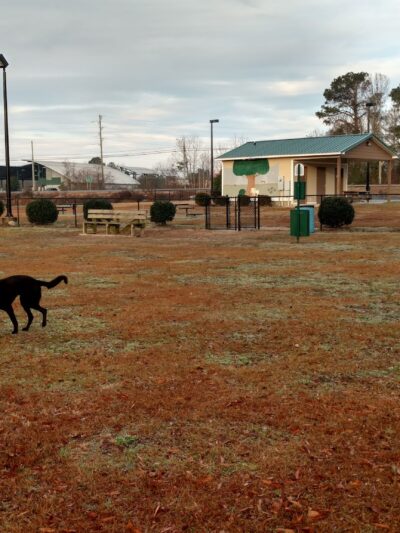 Kinston Rotary Dog Park - Kinston, NC