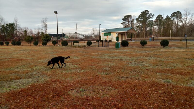 Kinston Rotary Dog Park - Kinston, NC
