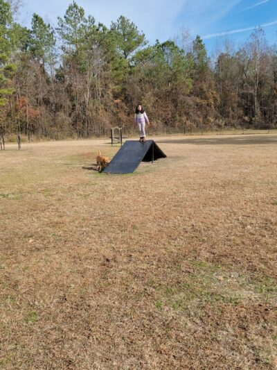 Kinston Rotary Dog Park - Kinston, NC