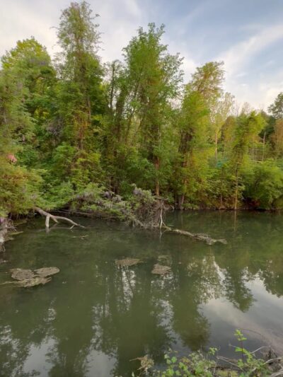 Green Lakes Perimeter Trail - Kirkville, NY