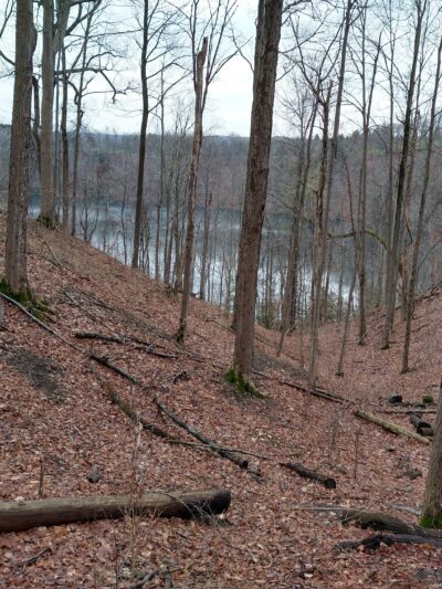 Green Lakes Perimeter Trail - Kirkville, NY