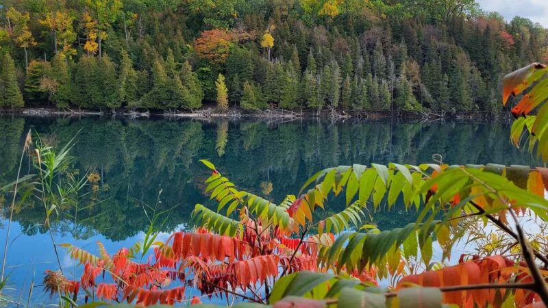 Green Lakes Perimeter Trail - Kirkville, NY
