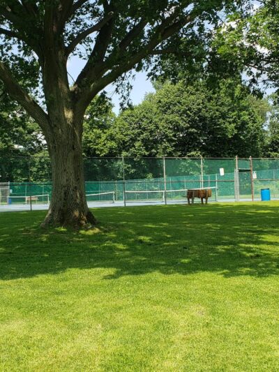 Veterans River Park - Kirkwood, NY