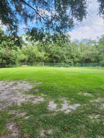 Kissimmee dog park - Kissimmee, FL