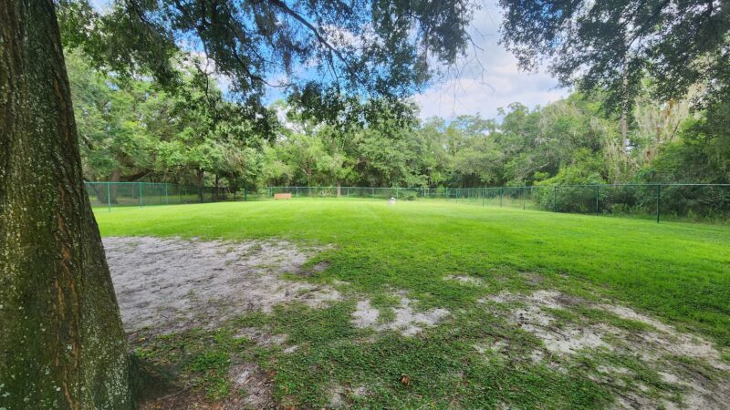Kissimmee dog park - Kissimmee, FL