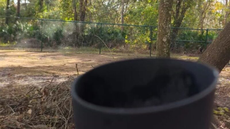 Kissimmee dog park - Kissimmee, FL