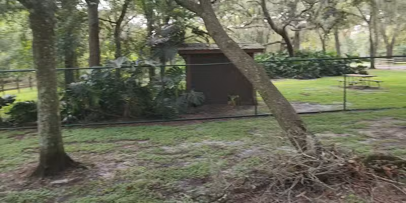 Kissimmee dog park - Kissimmee, FL