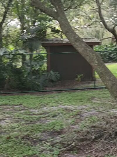 Kissimmee dog park - Kissimmee, FL