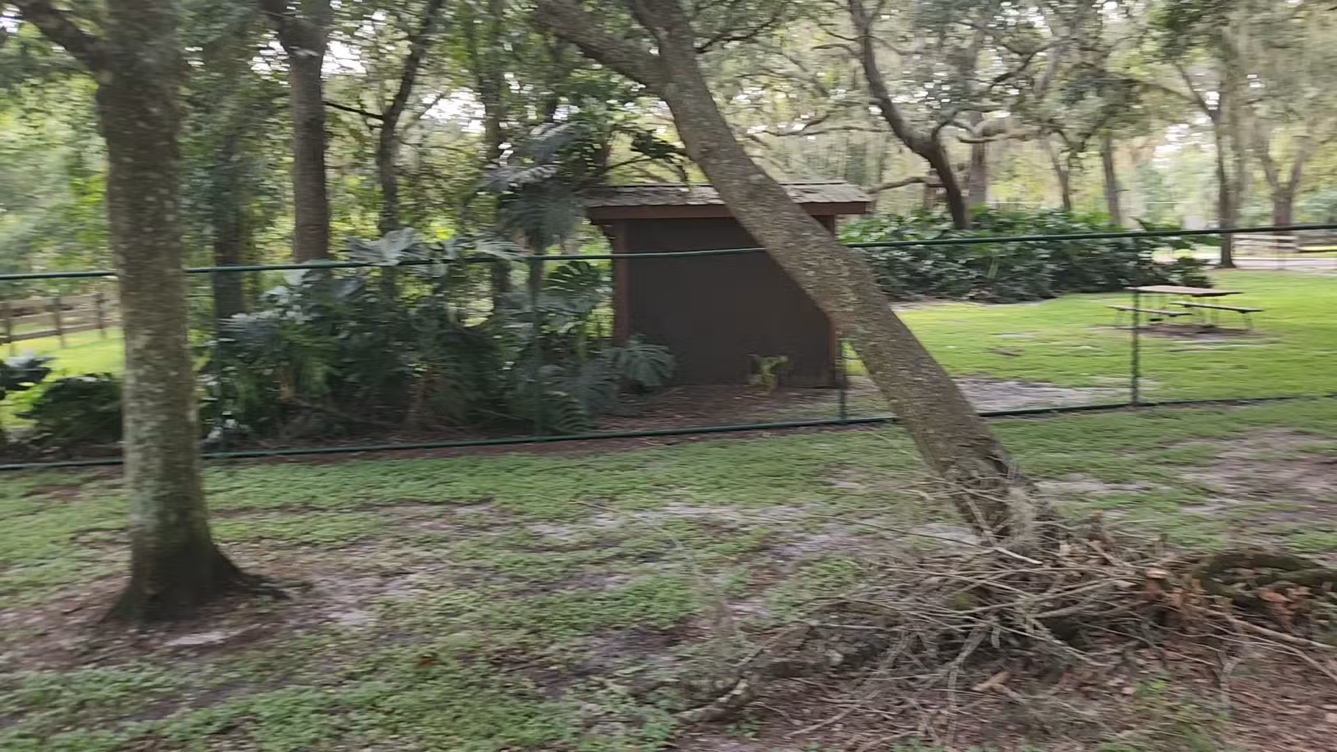 Kissimmee dog park - Kissimmee, FL