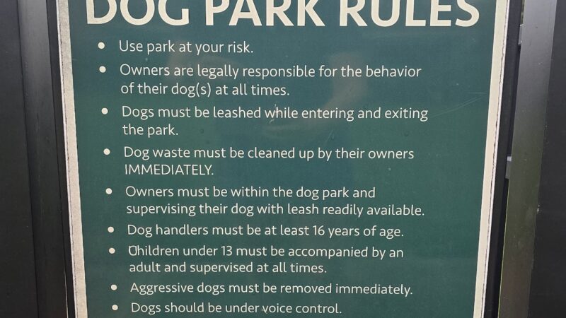 Reunion residential Dog Park - Kissimmee, FL