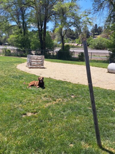 Eulalona Dog Park - Klamath Falls, OR