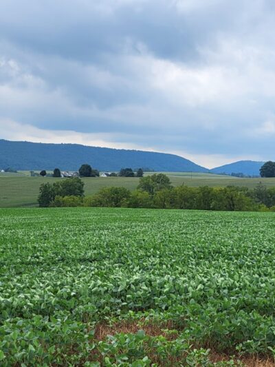 Klingerstown Park - Klingerstown, PA