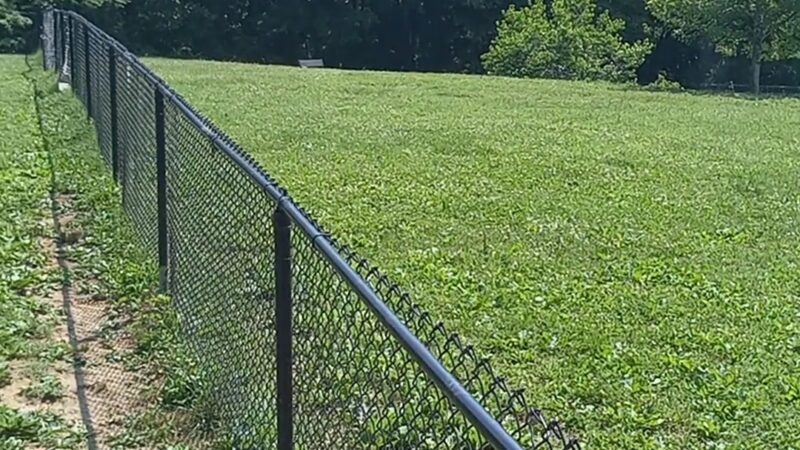 Tommy Schumpert Park Dog Park - Knoxville, TN