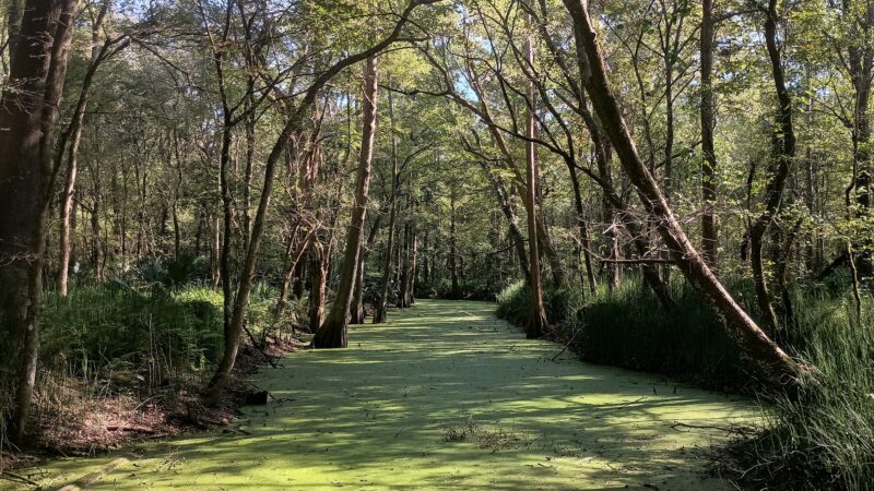 Indian Bayou Trail - Krotz Springs, LA