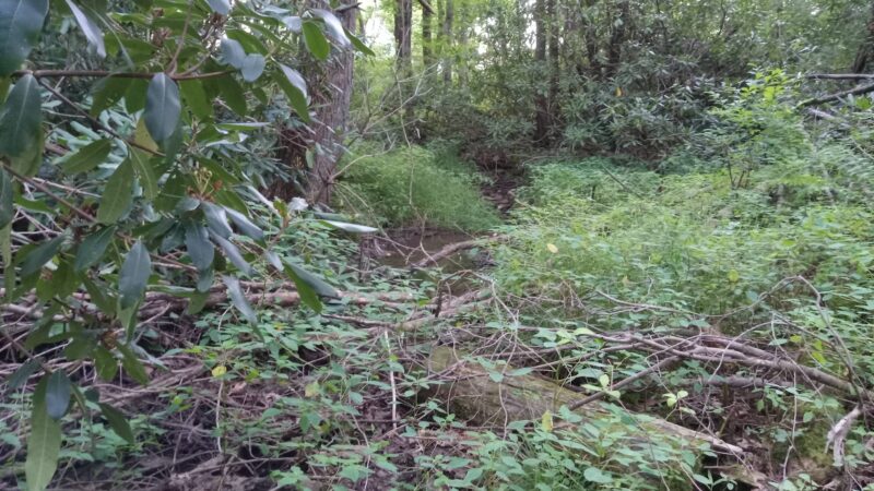 Cliff Woodring Trail - Kunkletown, PA
