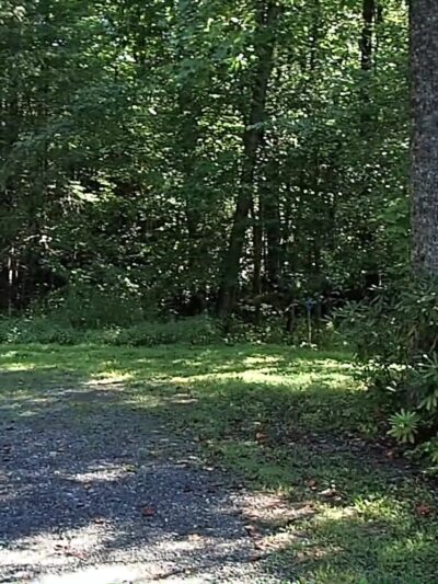 Polk Township Nature Park - Kunkletown, PA
