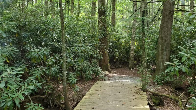 Polk Township Nature Park - Kunkletown, PA