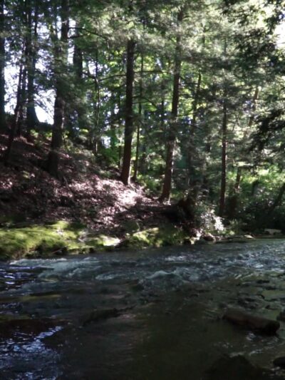 Walter W. Mock Memorial Park - Kunkletown, PA