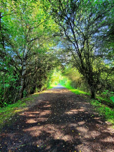 Sternwheeler Park - La Center, WA