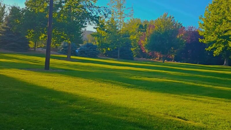 Riverside Dog Park - La Grande, OR