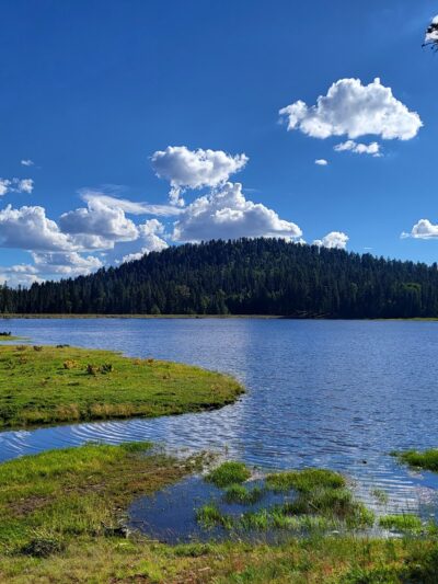 San Gregorio Lake Trail - La Jara, NM