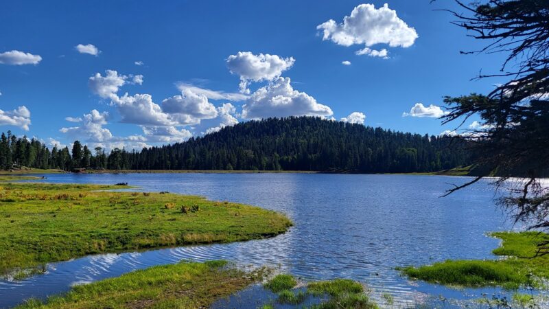 San Gregorio Lake Trail - La Jara, NM