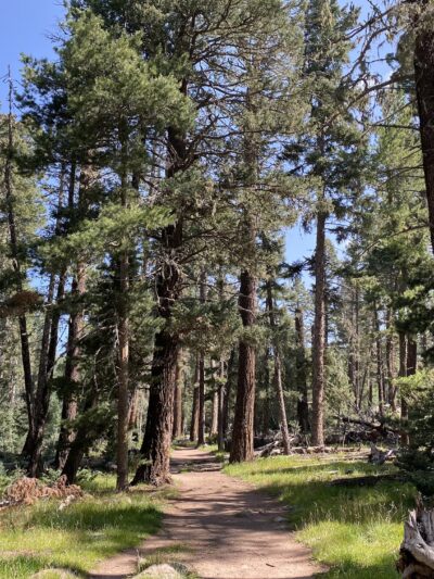 San Gregorio Lake Trail - La Jara, NM