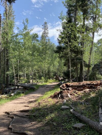 San Gregorio Lake Trail - La Jara, NM