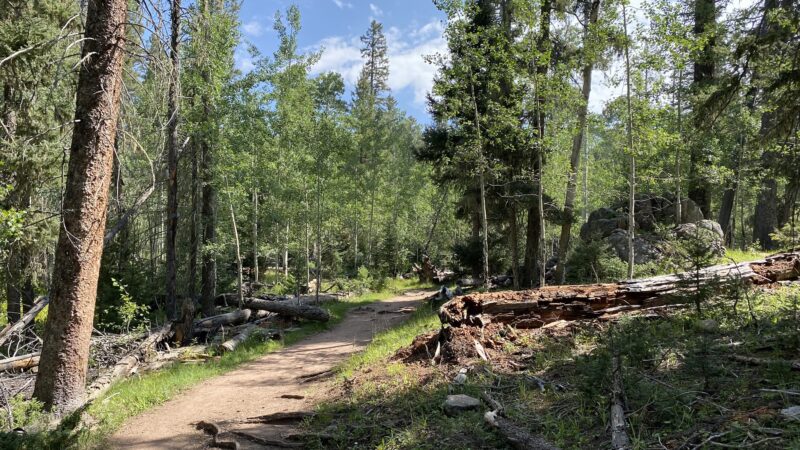 San Gregorio Lake Trail - La Jara, NM