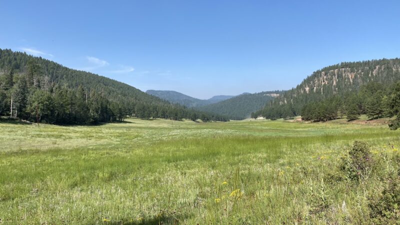 San Gregorio Lake Trail - La Jara, NM