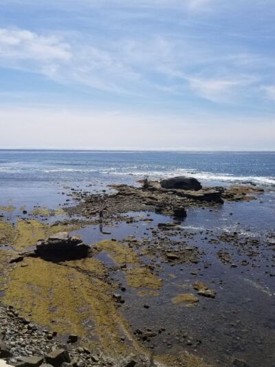 La Jolla Hermosa Park - La Jolla, CA