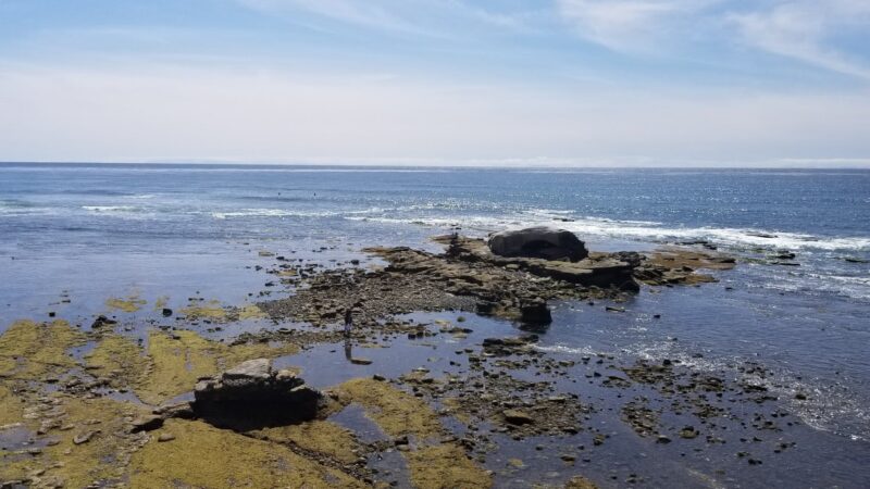 La Jolla Hermosa Park - La Jolla, CA