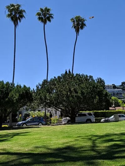 Union Place Circle Park - La Jolla, CA