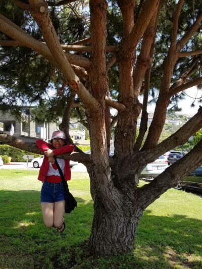 Union Place Circle Park - La Jolla, CA