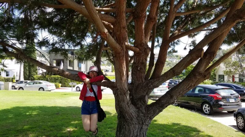 Union Place Circle Park - La Jolla, CA