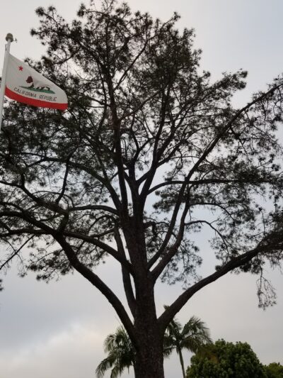 Union Place Circle Park - La Jolla, CA