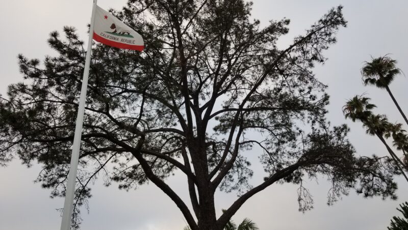 Union Place Circle Park - La Jolla, CA