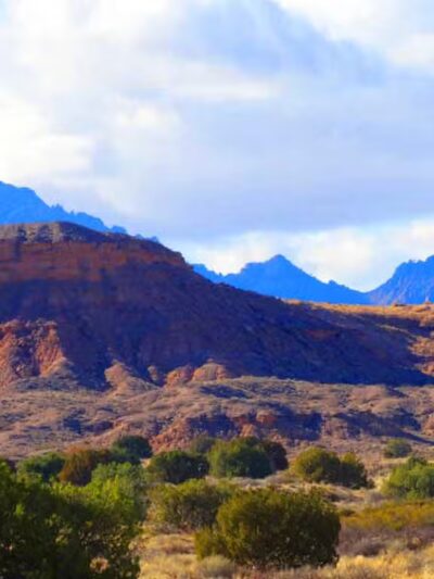 Sevilleta National Wildlife Refuge - La Joya, NM