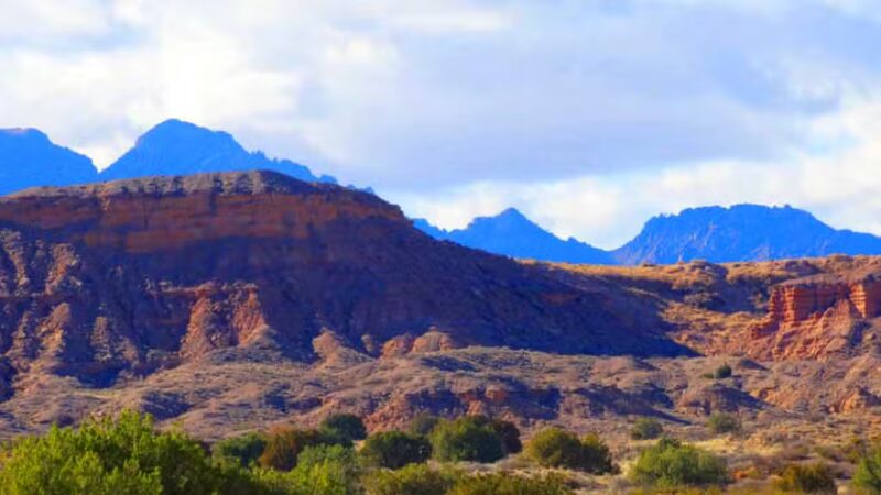 Sevilleta National Wildlife Refuge - La Joya, NM