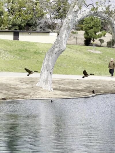 La Mirada Community Park/Lake - La Mirada, CA