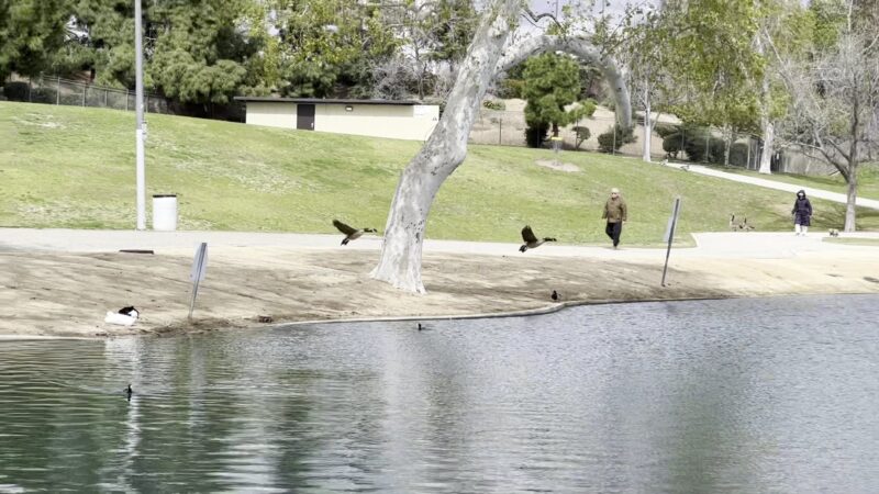 La Mirada Community Park/Lake - La Mirada, CA