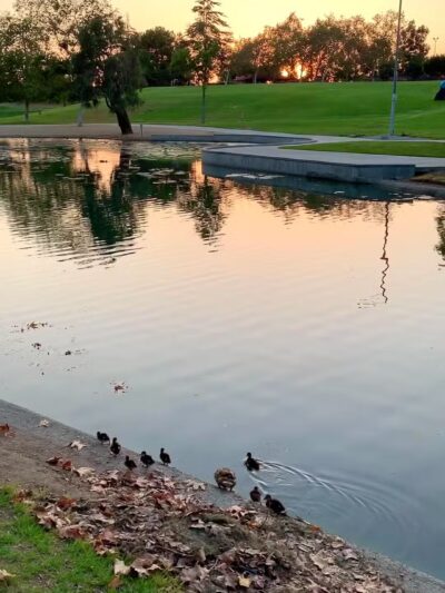 La Mirada Community Regional Park - La Mirada, CA
